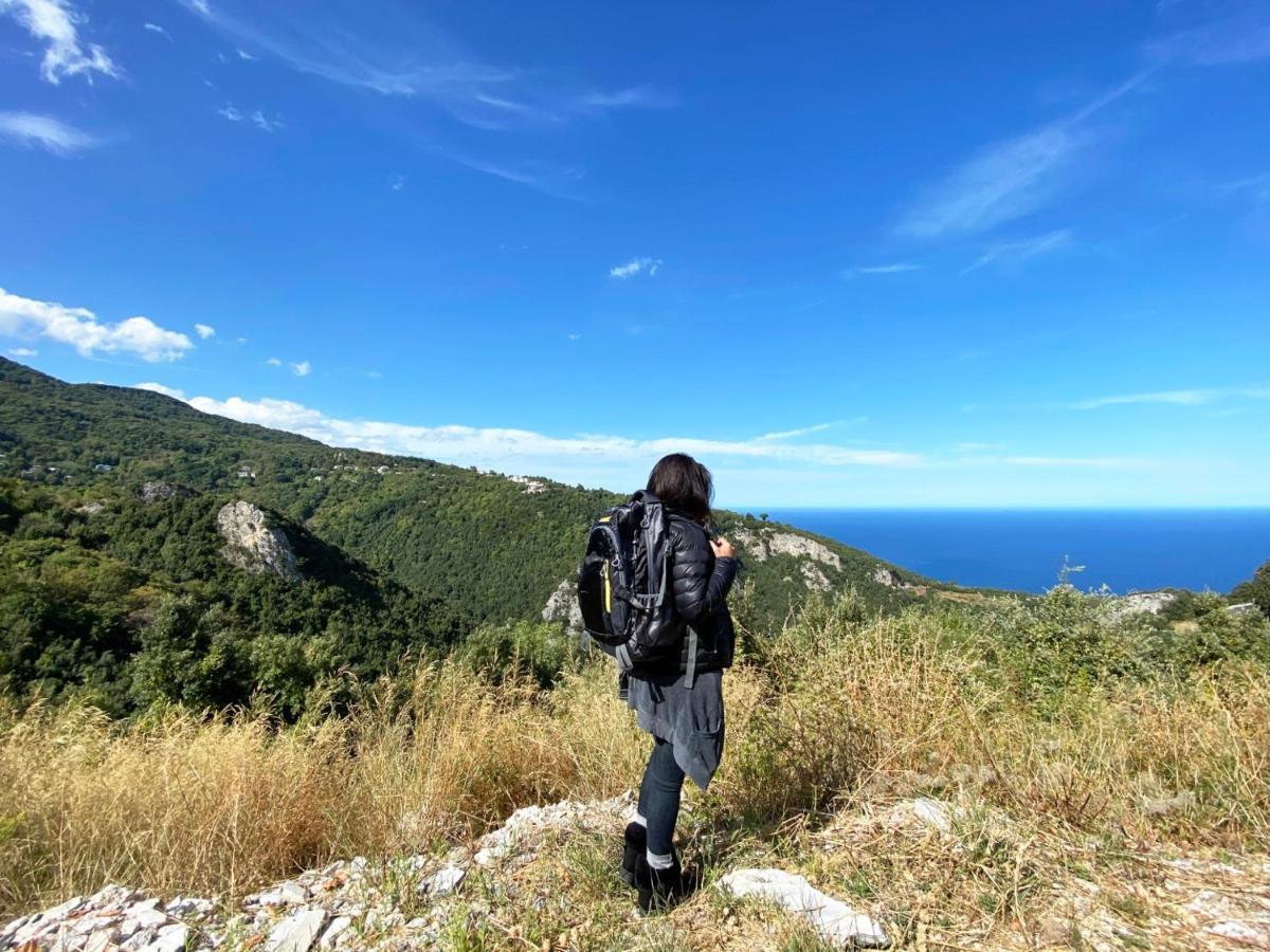Αλατίνου Ξενοδοχείο Πινακάτες Εξωτερικό φωτογραφία