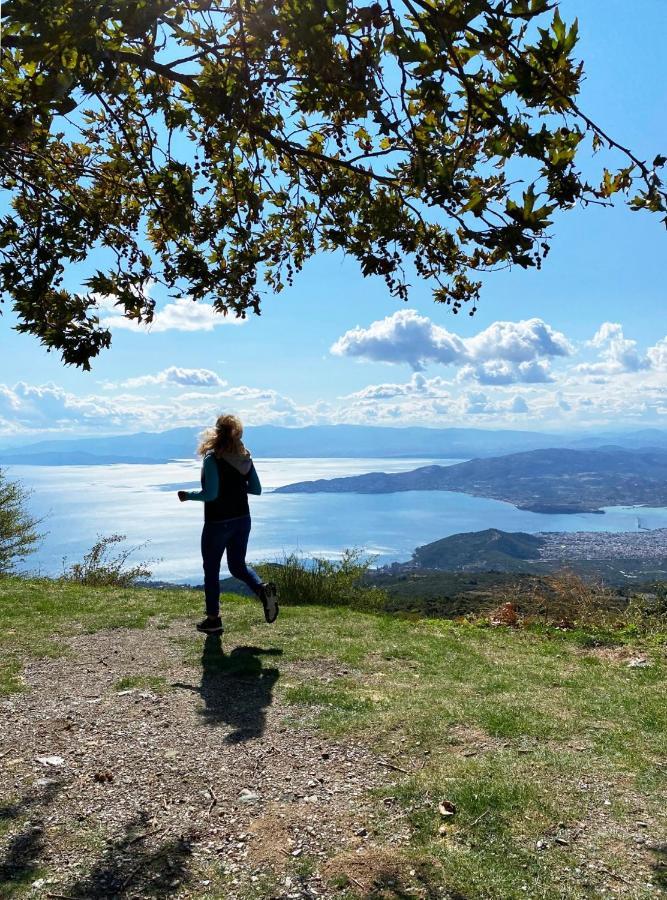 Αλατίνου Ξενοδοχείο Πινακάτες Εξωτερικό φωτογραφία