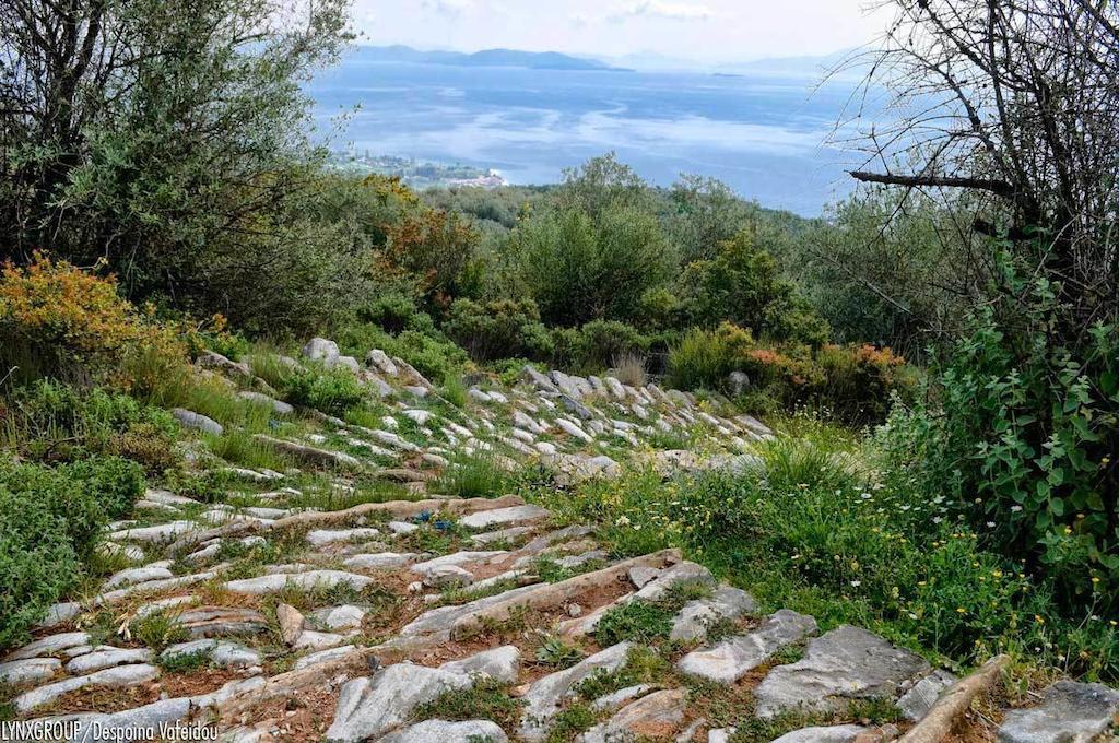 Αλατίνου Ξενοδοχείο Πινακάτες Εξωτερικό φωτογραφία
